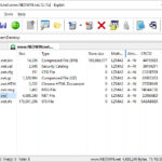 1580030733 explzh windows