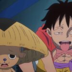 Luffy and chopper
